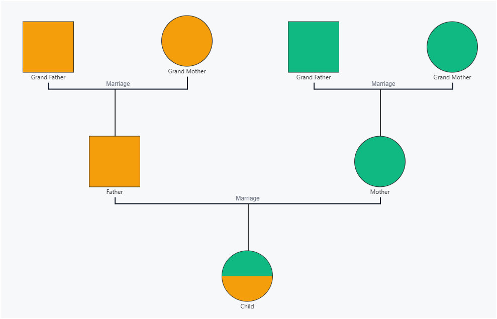 Cultural Genogram Template with two ethnicities