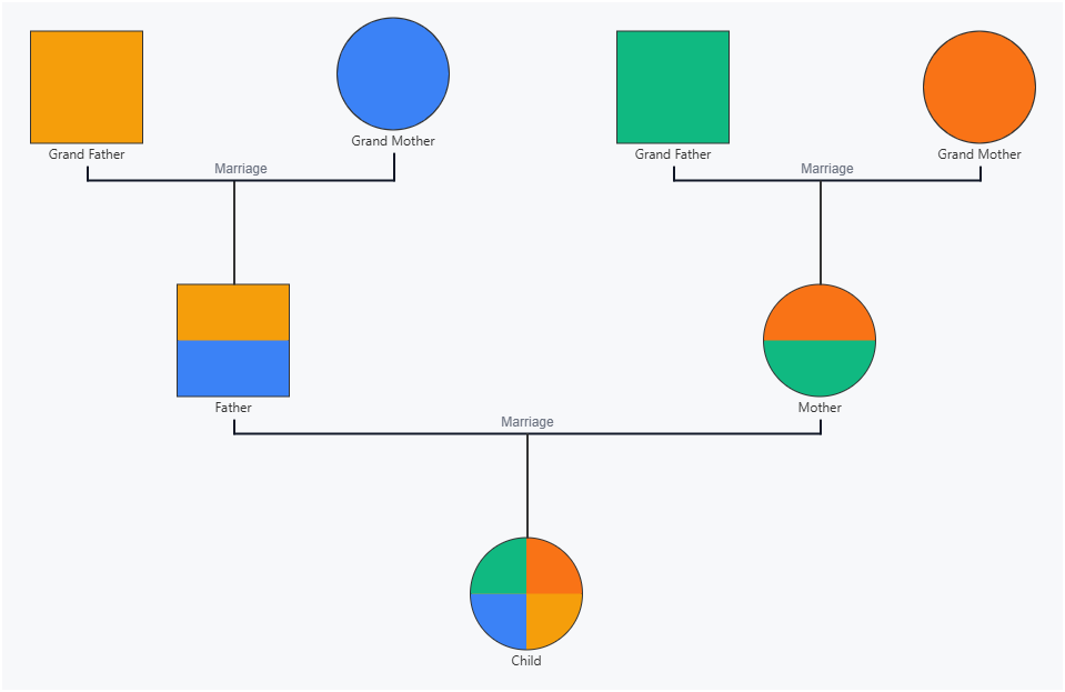 Cultural Genogram Template with multiple ethnicities