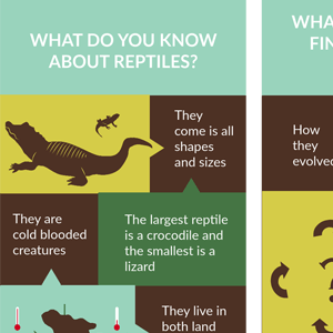 Reptilien - KWL-Diagramm-Vorlage