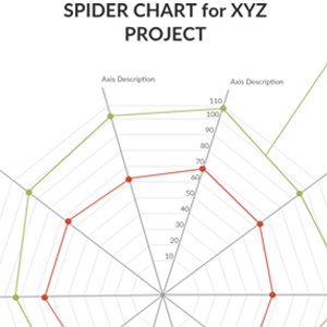 Beispiel für ein Spinnendiagramm